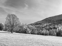 Beskid Niski